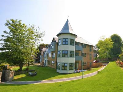 Picture 20